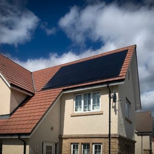 Plug-In Solar Panels: How They Compare To Rooftop Solar And Battery Storage