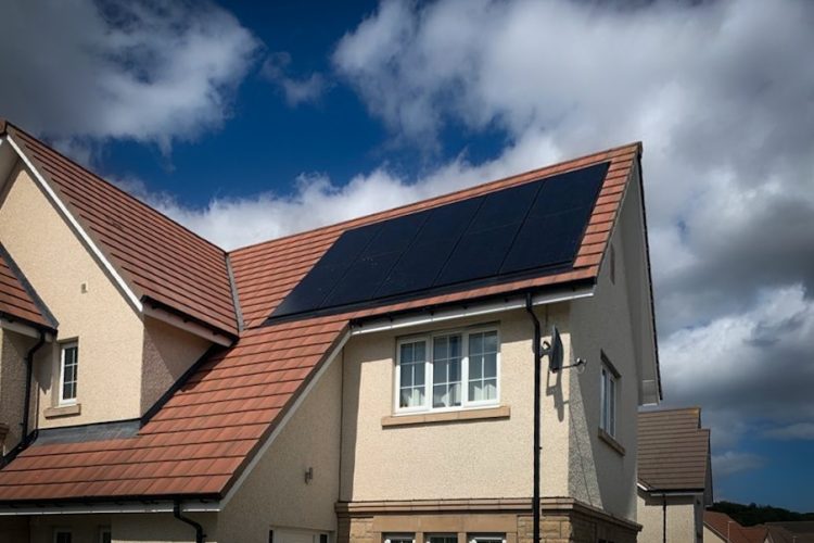 Plug-In Solar Panels: How They Compare To Rooftop Solar And Battery Storage